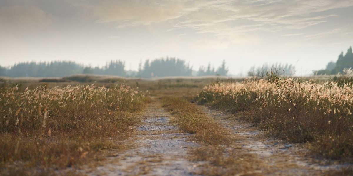 Blog Traumatherapeut Freiburg – sanfte Traumatherapie für Frauen - Praxis fuer Sinnliche Wege